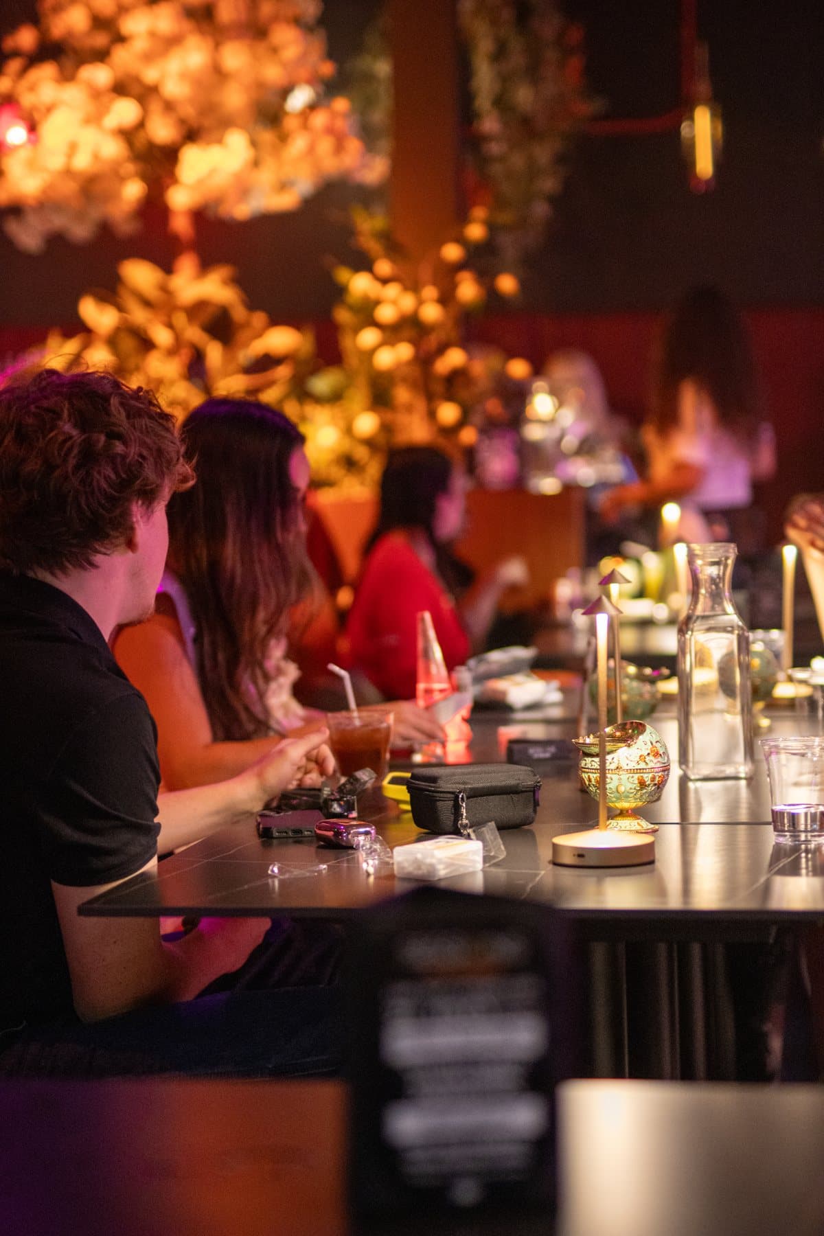 Guests along the counter under warm light and hanging greenery