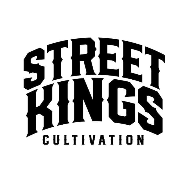 STREET KINGS | JELLY CAKE | ROSIN | 1G