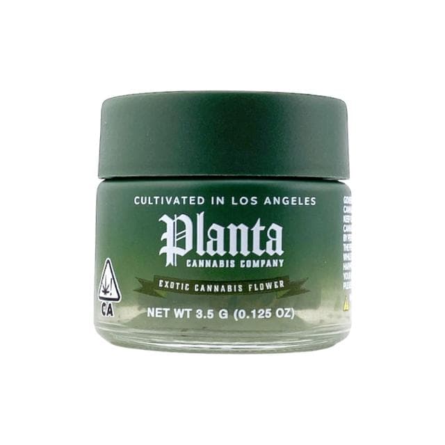 Planta | C.C.
