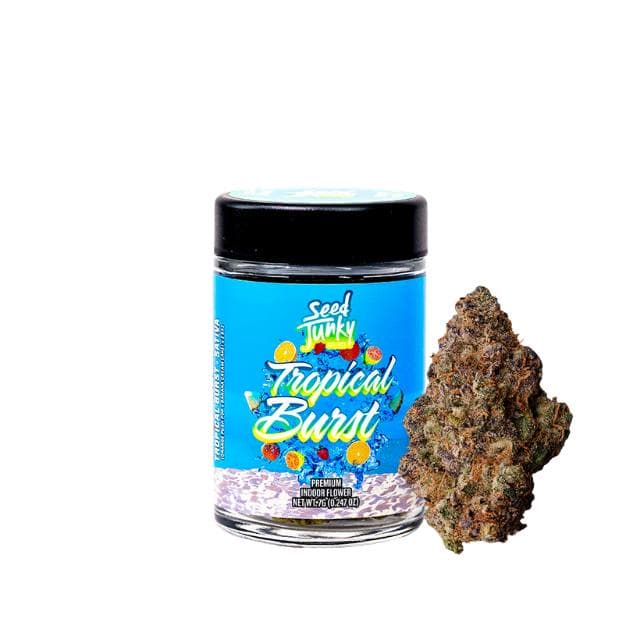SEED JUNKY | TROPICAL BURST | 3.5G