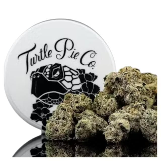 TURTLE PIE | FABULOZO